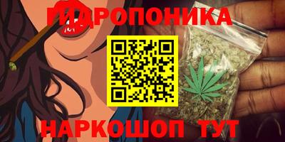 прущие грибы Заводоуковск
