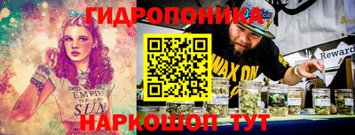 прущие грибы Заводоуковск