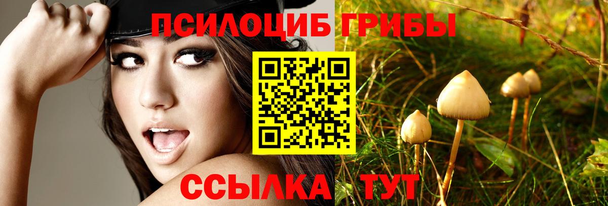 Псилоцибиновые грибы MAGIC MUSHROOMS Лесной